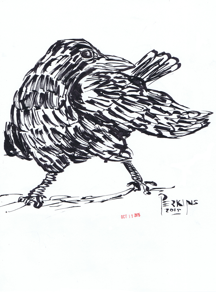 Inktober Day 11 Crow